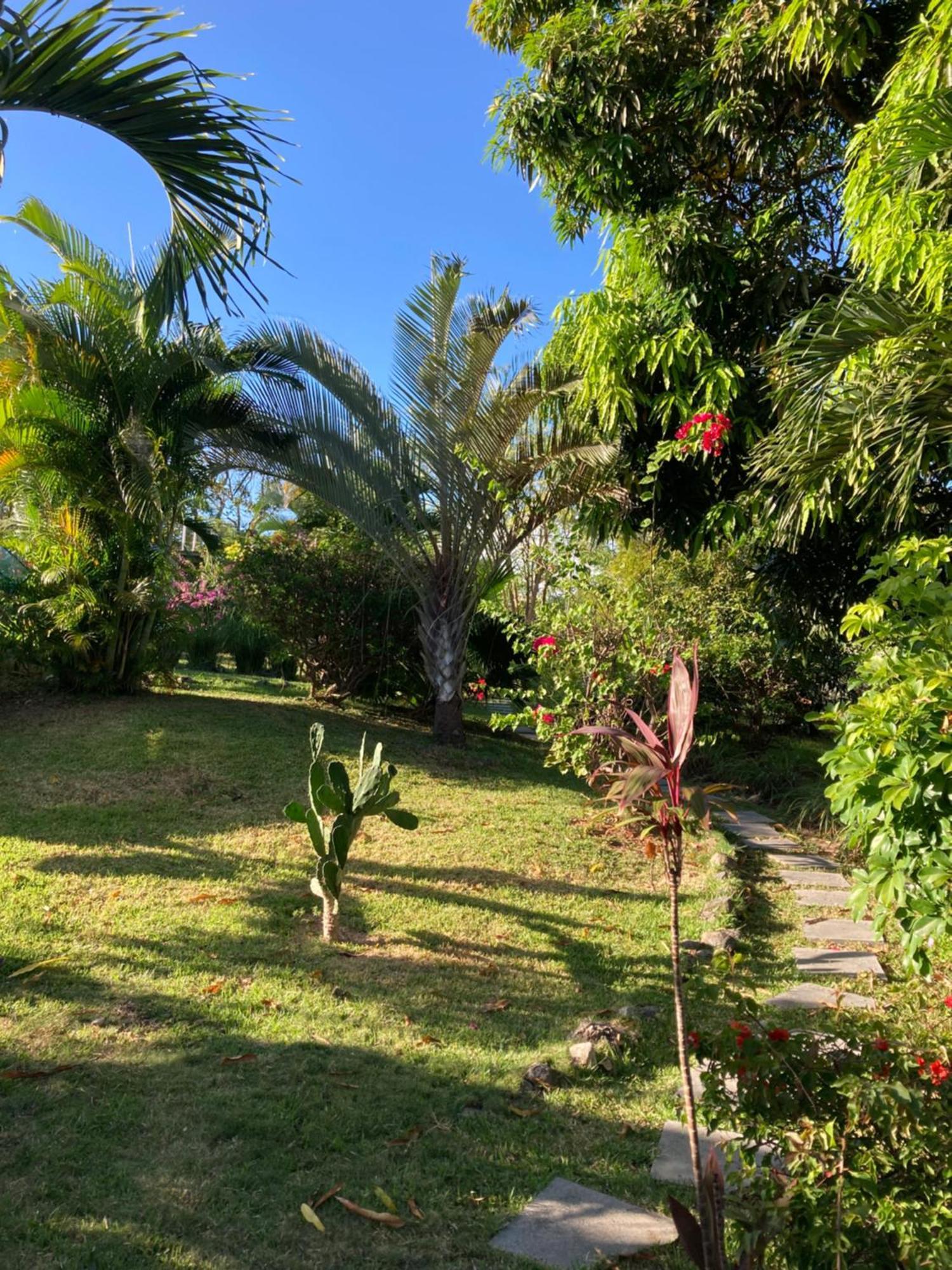 Bed and Breakfast La Maracuya Panama Playa Coronado Esterno foto