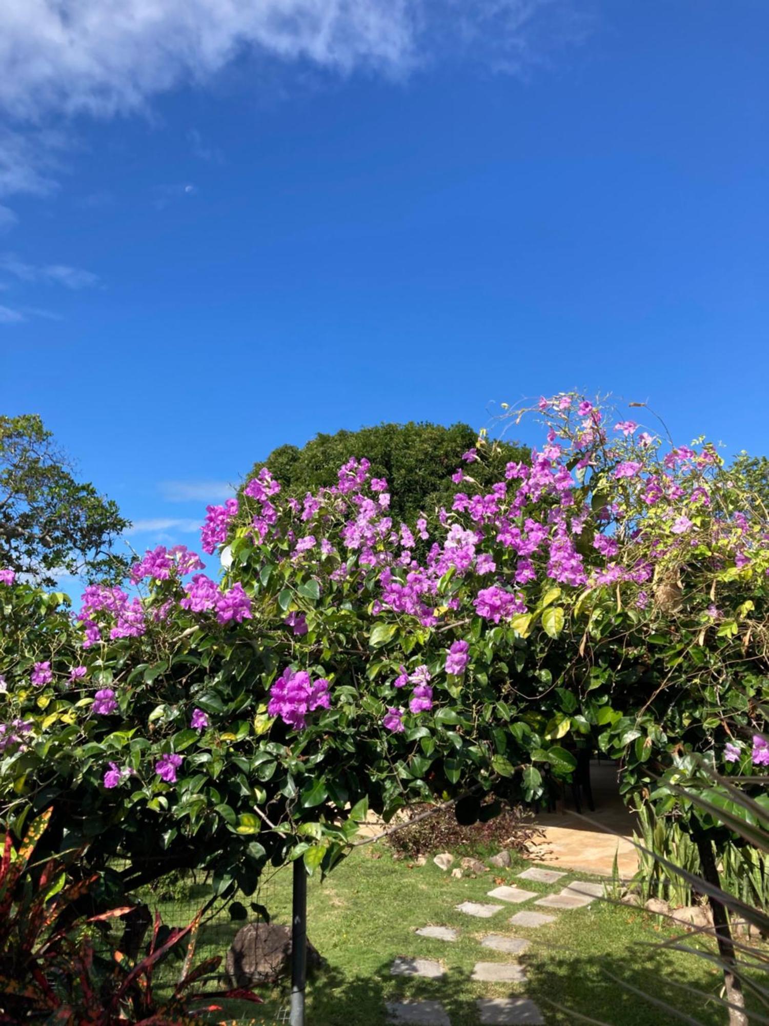 Bed and Breakfast La Maracuya Panama Playa Coronado Esterno foto